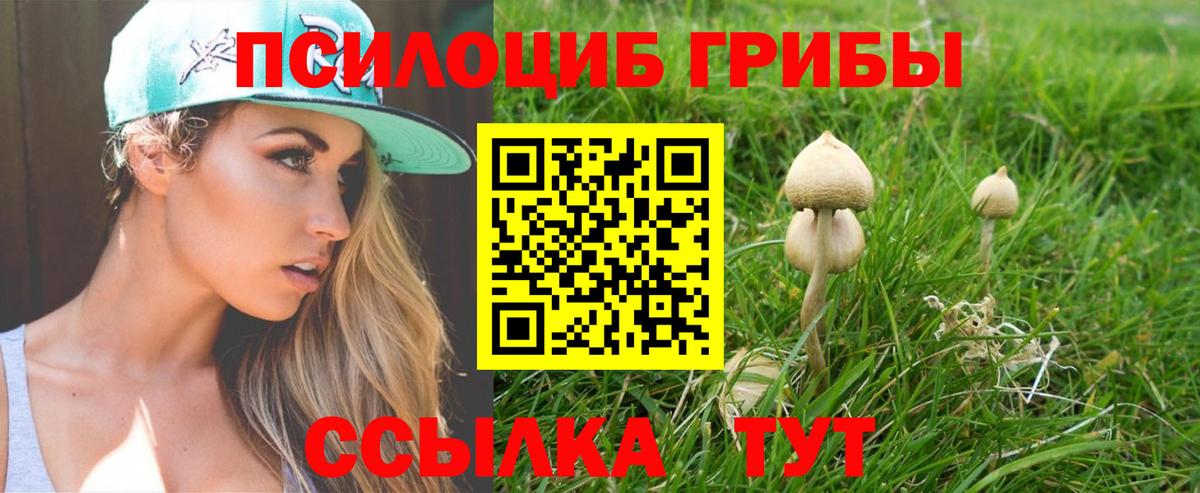 Псилоцибиновые грибы Magic Shrooms  Вход с VPN  Златоуст  Псилоцибиновые грибы мицелий 